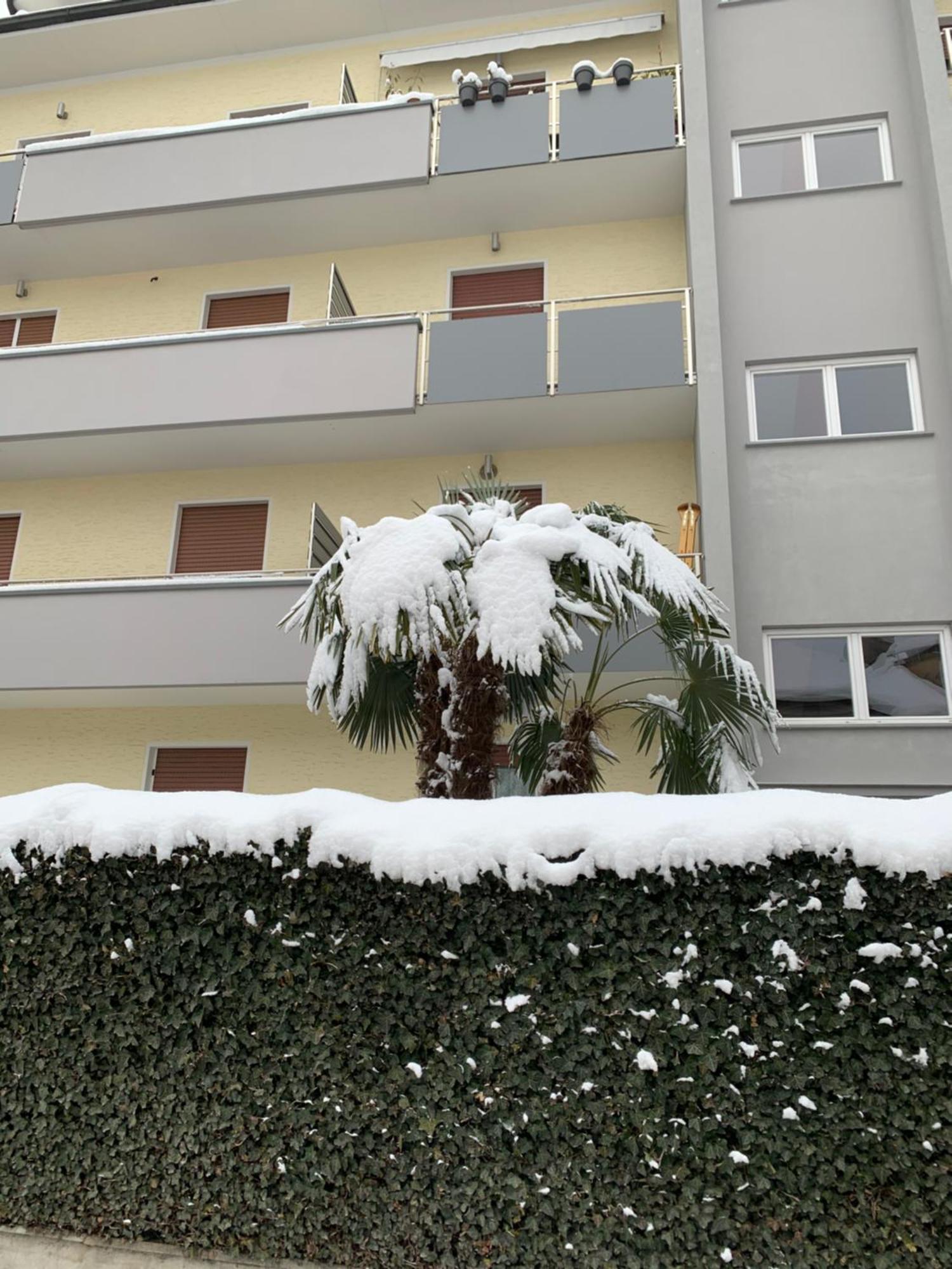 Cejm Apartments Μεράνο Εξωτερικό φωτογραφία
